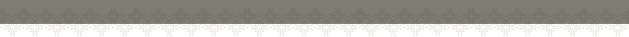 greylogostrip